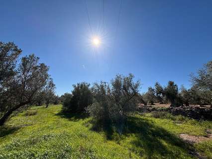 Parcela rústica en venta en Roquetes