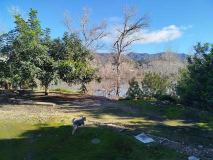 Parcela rústica en venta en Xerta