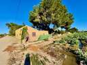 Finca en venta en Guardamar del Segura zona Guardamar del Segura rebajada