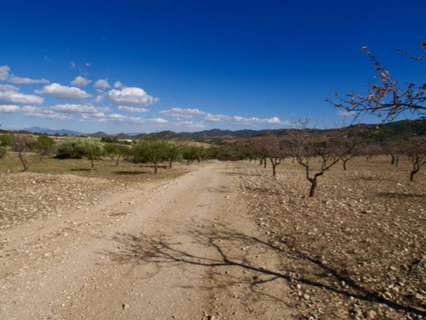 Parcela urbanizable en venta en Murcia zona Murcia