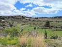 Parcela urbanizable en venta en Benissa zona Partida Biasner