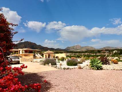 Finca en venta en Albatera zona Albatera