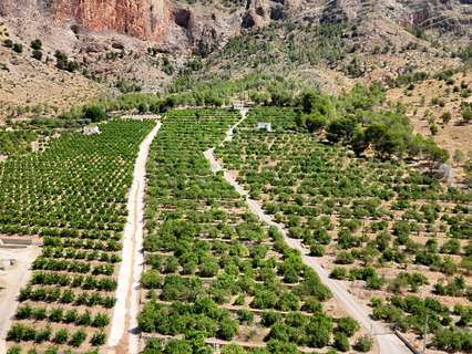 Finca en venta en Orihuela zona Orihuela-Costa