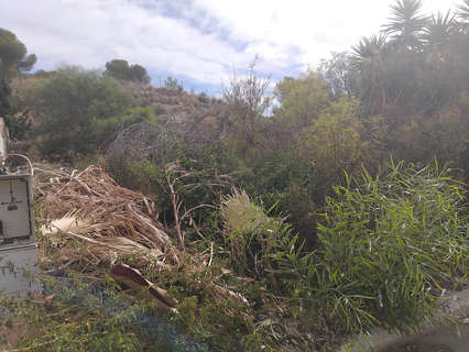 Parcela urbanizable en venta en Algorfa zona Algorfa