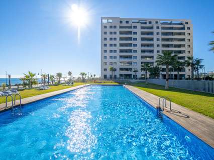 Apartamento en venta en Torrevieja rebajado