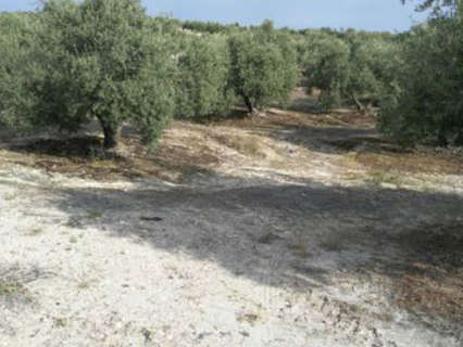 Parcela rústica en venta en Fuerte del Rey