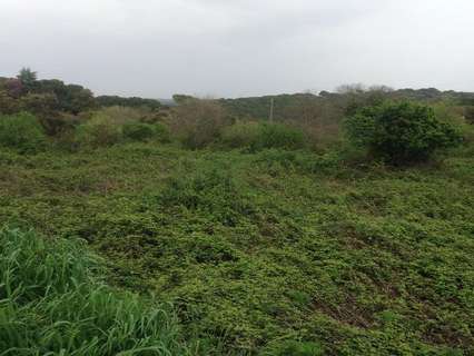 Parcela rústica en venta en Córdoba