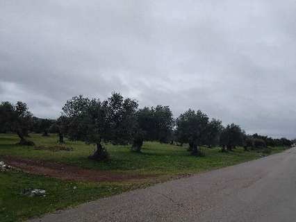 Parcela rústica en venta en Puerto Serrano