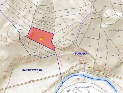 Parcela urbana en venta en Sorihuela del Guadalimar