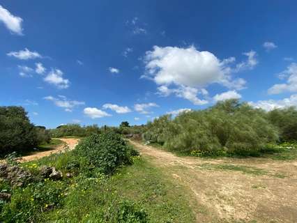Parcela rústica en venta en El Puerto de Santa María