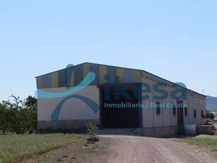 Parcela rústica en venta en Huéscar