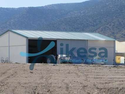 Parcela rústica en venta en Huéscar