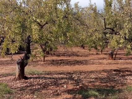 Parcela rústica en venta en Oropesa del Mar