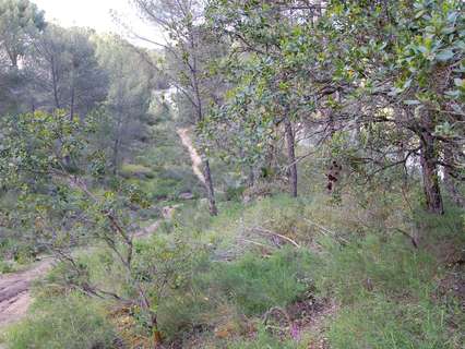 Parcela rústica en venta en Córdoba