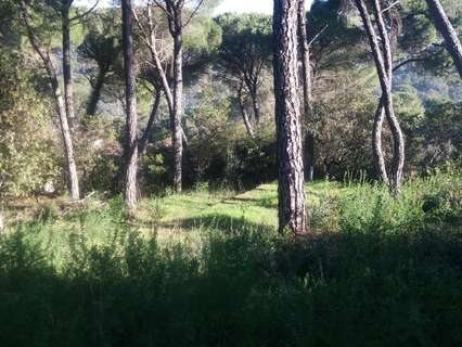 Parcela rústica en venta en Córdoba