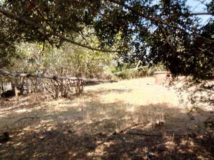 Parcela rústica en venta en Córdoba