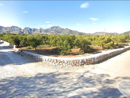 Parcela rústica en venta en Gandía rebajada