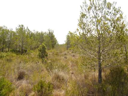 Parcela rústica en venta en L'Ametlla de Mar