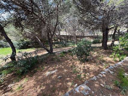 Parcela rústica en venta en L'Ametlla de Mar