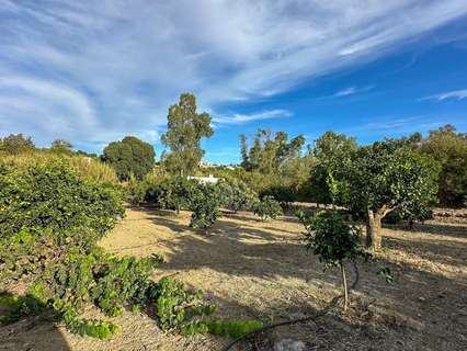 Parcela rústica en venta en Alhaurín el Grande