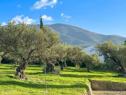 Parcela rústica en venta en Alhaurín el Grande