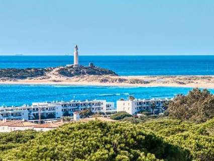 Parcela rústica en venta en Barbate