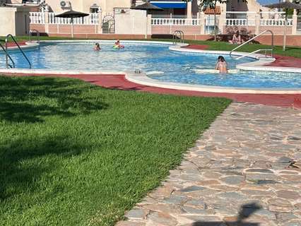 Planta baja en venta en Orihuela zona Orihuela-Costa