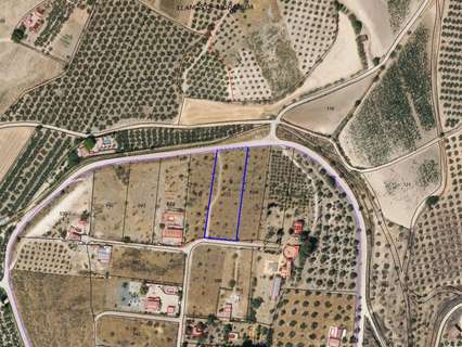 Parcela rústica en venta en Moraleda de Zafayona