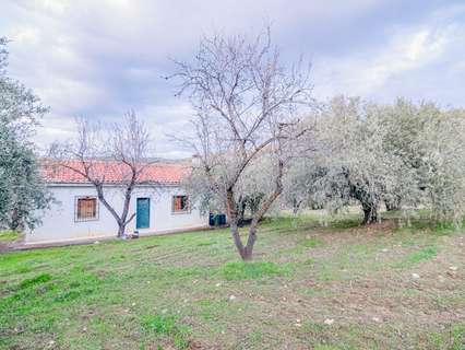 Parcela rústica en venta en Pinos Genil