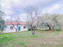 Parcela rústica en venta en Pinos Genil