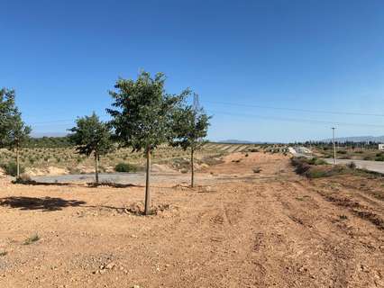 Parcela rústica en venta en Albolote