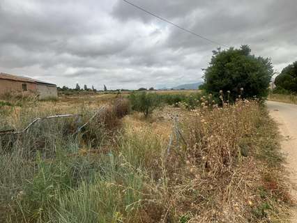 Parcela rústica en venta en Caravaca de la Cruz