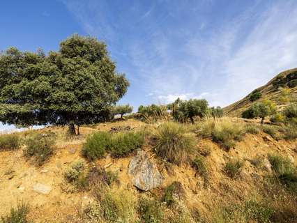 Parcela rústica en venta en Monachil