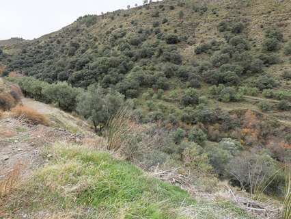 Parcela rústica en venta en Monachil