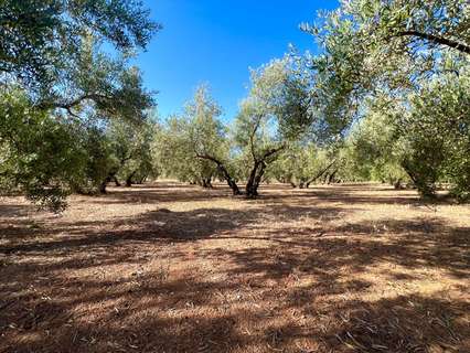 Parcela rústica en venta en Albolote