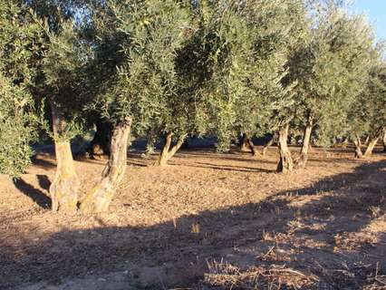 Casa rústica en venta en Otura
