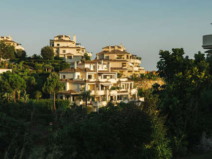 Planta baja en alquiler en Málaga