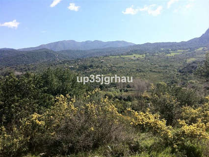Parcela rústica en venta en Gaucín