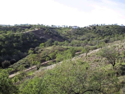 Parcela rústica en venta en Monda