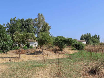 Parcela rústica en venta en Coín