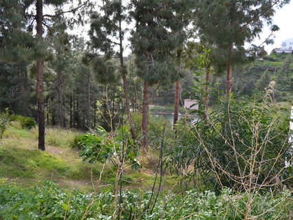 Parcela rústica en venta en Mijas