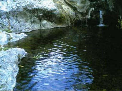 Casa rústica en venta en Estepona