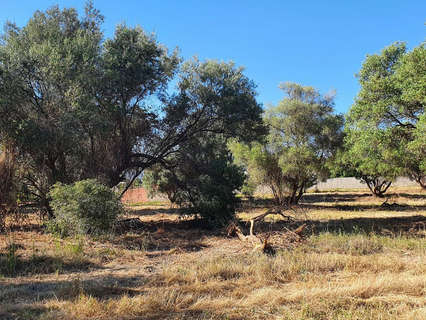 Parcela rústica en venta en Marbella