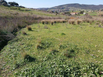 Parcela rústica en venta en Estepona