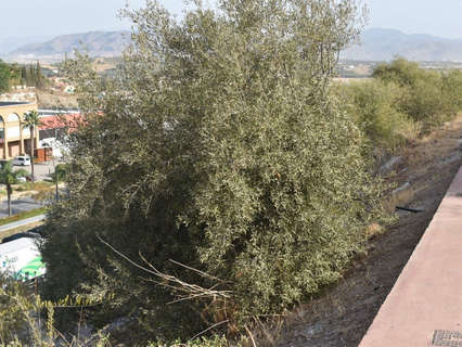 Parcela rústica en venta en Coín