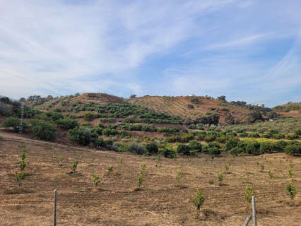 Parcela rústica en venta en Guaro