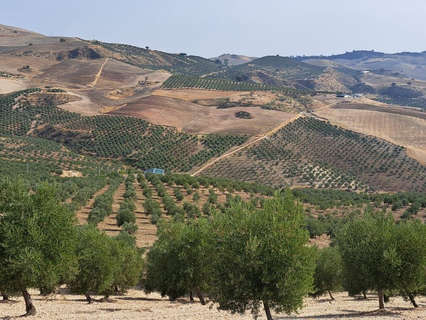 Parcela rústica en venta en Ronda