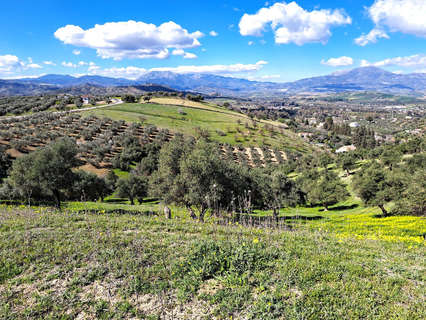 Parcela rústica en venta en Málaga