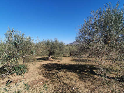 Parcela rústica en venta en Alhaurín el Grande