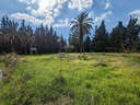 Parcela rústica en venta en Marbella